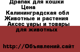 Драпак для кошки › Цена ­ 2 000 - Калининградская обл. Животные и растения » Аксесcуары и товары для животных   